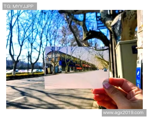 武汉排球队的华丽转身:洲际杯背后的奋斗与蜕变之路 武汉排球队的华丽转身:洲际杯背后的奋斗与蜕变之路