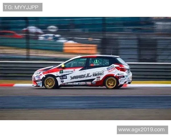 北京网球队征战洲际杯的拼搏历程与荣耀时刻回顾